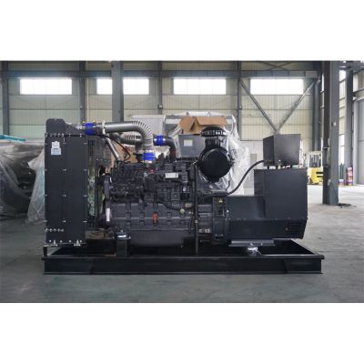工廠直銷250KW柴油發(fā)電機，品牌有廣西玉柴、無錫動力、威曼、通柴等柴油發(fā)電機組。廠價直銷歡迎選購：13773399855。