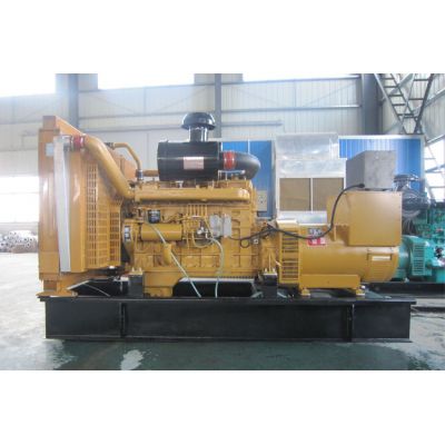 300kw上柴正新柴油發(fā)電機(jī)組-上柴正新6缸柴油機(jī)G128ZLD11柴油發(fā)電機(jī)組,缸徑/行程：135/150mm,柴油發(fā)電機(jī)組水冷發(fā)動機(jī)功率306KW,柴油發(fā)電機(jī)組配套馬拉松斯坦福發(fā)電機(jī)。廠價(jià)直銷歡迎選購：13773399855。