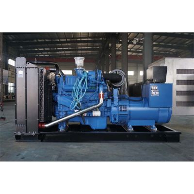 250kw玉柴柴油發(fā)電機(jī)組-玉柴6缸柴油機(jī)YC6MK420L-D20柴油發(fā)電機(jī)組,缸徑/行程：123/145mm,柴油發(fā)電機(jī)組水冷發(fā)動(dòng)機(jī)功率309KW,柴油發(fā)電機(jī)組配套馬拉松斯坦福發(fā)電機(jī)。廠價(jià)直銷歡迎選購(gòu)：13773399855。