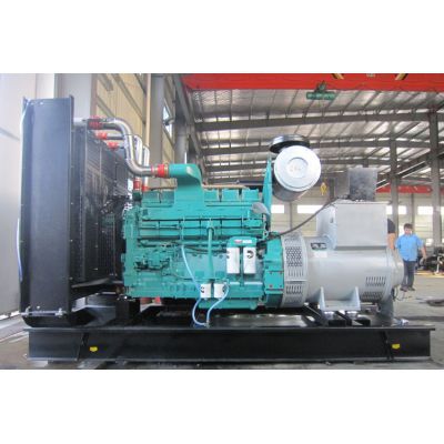 250kw重慶康明斯柴油發(fā)電機(jī)組-重慶康明斯6缸柴油機(jī)NTA855-G1A柴油發(fā)電機(jī)組,缸徑/行程：140/152mm,柴油發(fā)電機(jī)組水冷發(fā)動(dòng)機(jī)功率291KW,柴油發(fā)電機(jī)組配套馬拉松斯坦福發(fā)電機(jī)。廠價(jià)直銷歡迎選購(gòu)：13773399855。
